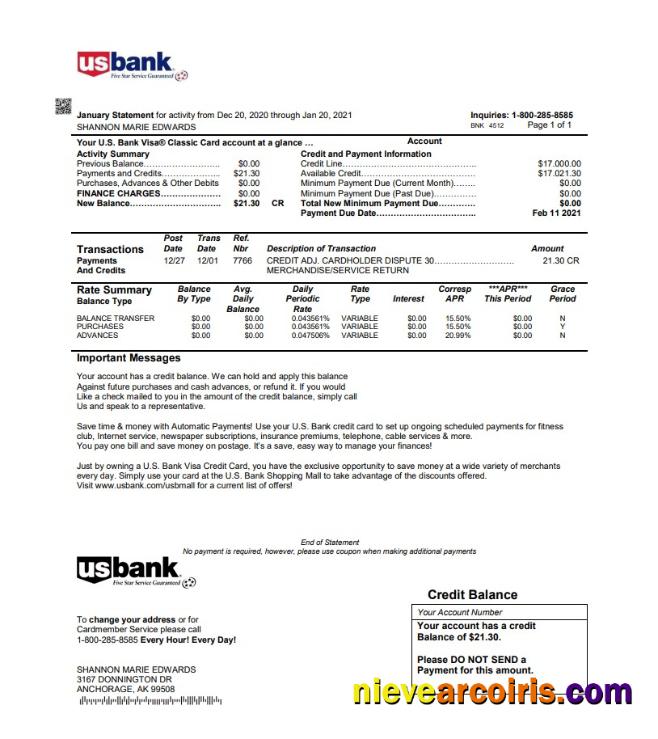 USA U.S. bank credit card statement in Word and PDF format